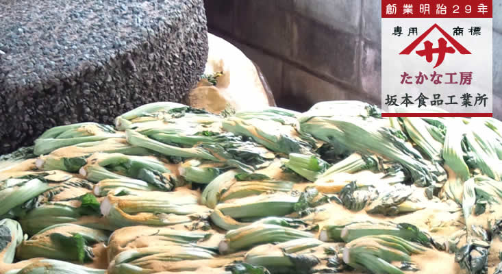 創業明治29年 たかな工房 坂本食品工業所