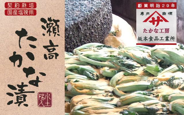 有機栽培 国産塩使用 瀬高 たかな漬 創業明治29年 たかな工房 坂本食品工業所