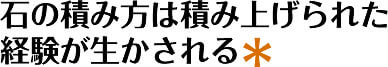 絶妙な塩加減は
高菜の味を決める大事な仕事