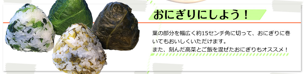 おにぎりにしよう！／葉の部分を幅広く約15センチ角に切って、おにぎりに巻いてもおいしくいただけます。また、刻んだ高菜とご飯を混ぜたおにぎりもオススメ！