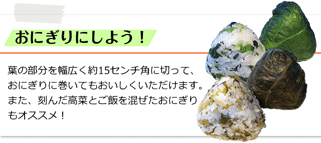 おにぎりにしよう！／葉の部分を幅広く約15センチ角に切って、おにぎりに巻いてもおいしくいただけます。また、刻んだ高菜とご飯を混ぜたおにぎりもオススメ！
